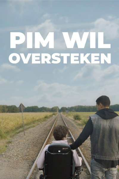 Póster de Pim Wil Oversteken