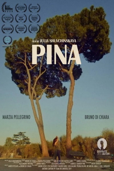 Póster de Pina
