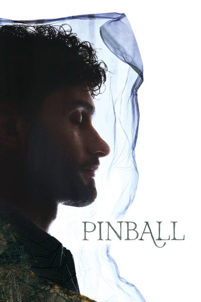 Póster de Pinball