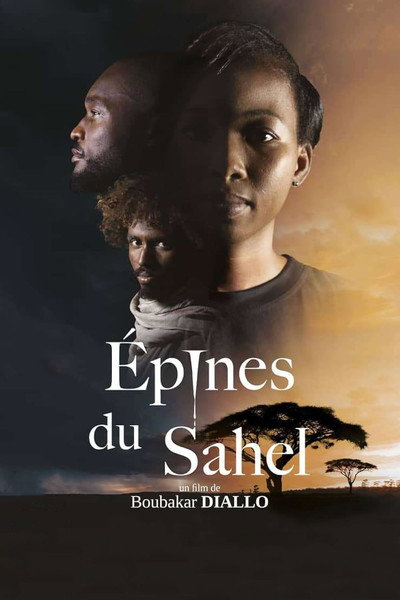Póster de Épines du Sahel