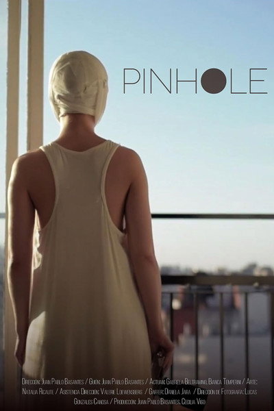 Póster de Pinhole