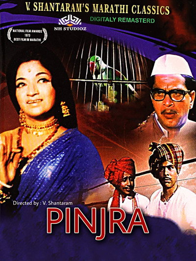 Póster de Pinjra