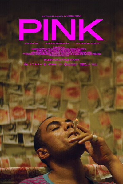Póster de Pink