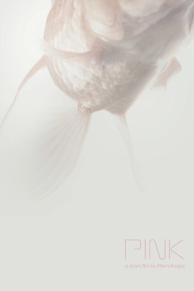Póster de Pink