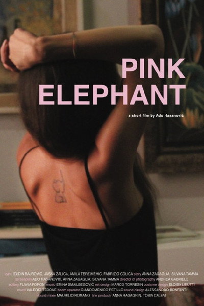 Póster de Pink Elephant