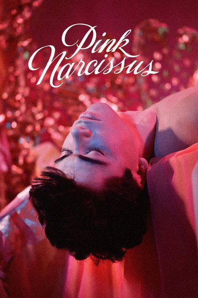Póster de Pink Narcissus