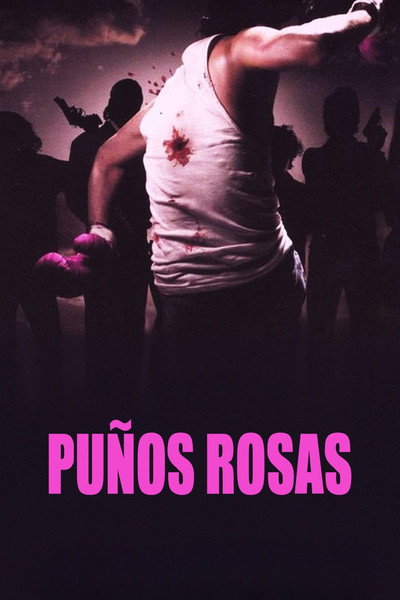 Póster de Pink Punch