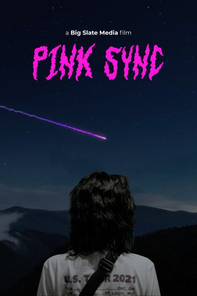 Póster de Pink Sync