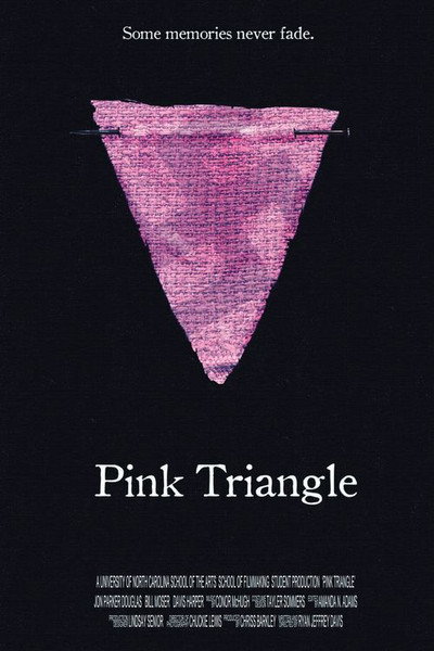 Póster de Pink Triangle