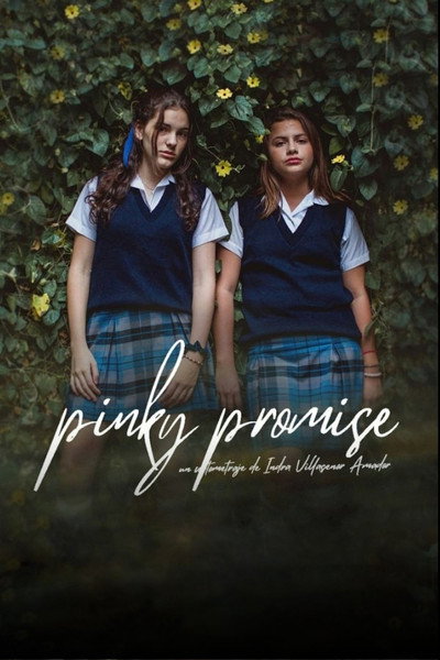 Póster de Pinky Promise