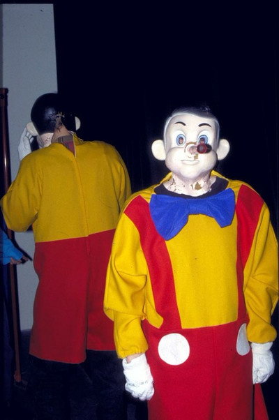 Póster de Pinocchio Pipenose Householddilemma