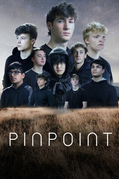 Póster de Pinpoint