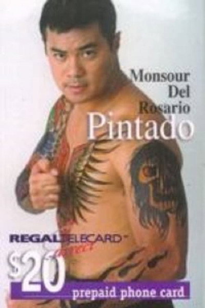 Póster de Pintado