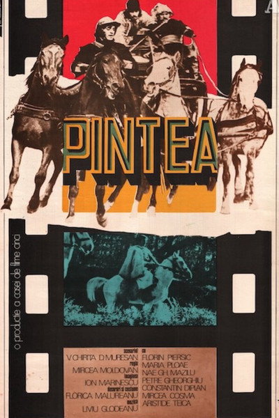 Póster de Pintea