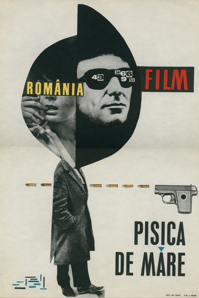 Póster de Pisica de mare