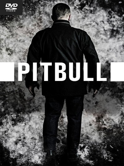 Póster de Pitbull