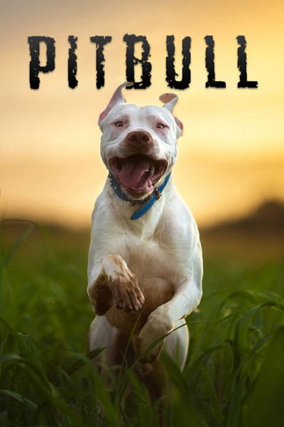 Póster de Pitbull