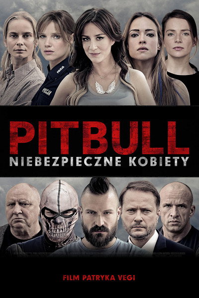 Póster de Pitbull: Tough Women