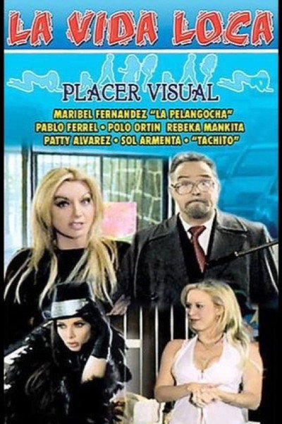 Póster de Placer visual