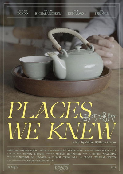 Póster de Places We Knew