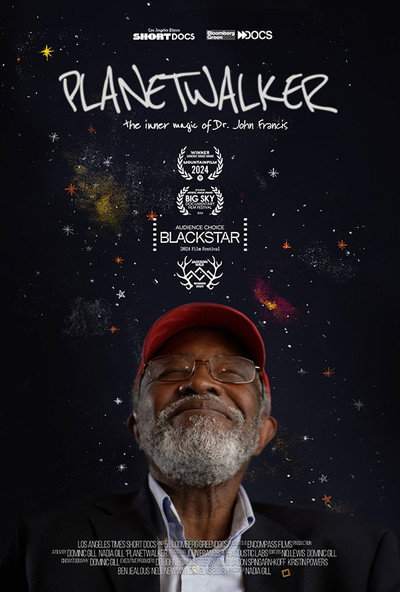 Póster de Planetwalker
