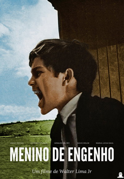 Póster de Plantation Boy