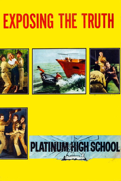 Póster de Platinum High School