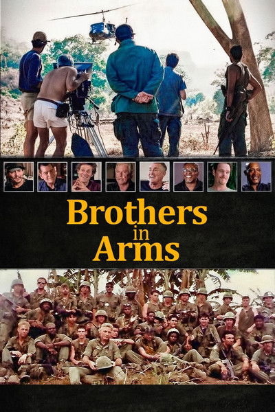 Póster de Platoon: Brothers in Arms
