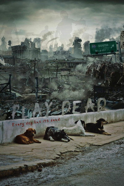 Póster de Play Dead