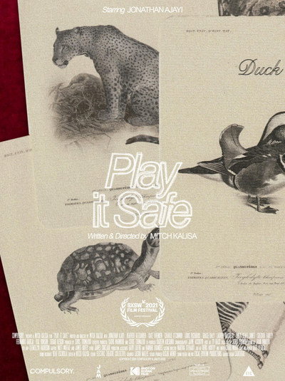 Póster de Play It Safe