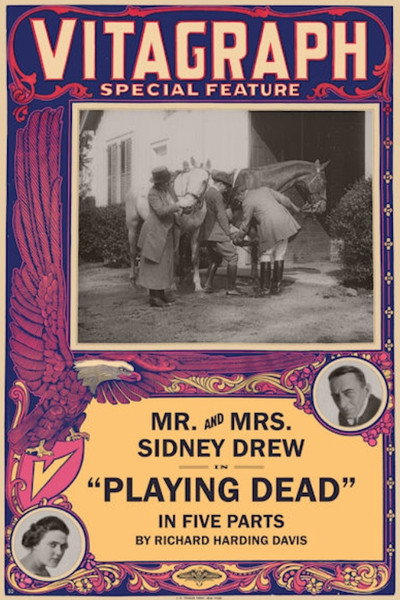 Póster de Playing Dead