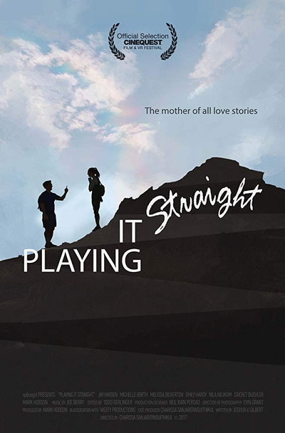 Póster de Playing It Straight