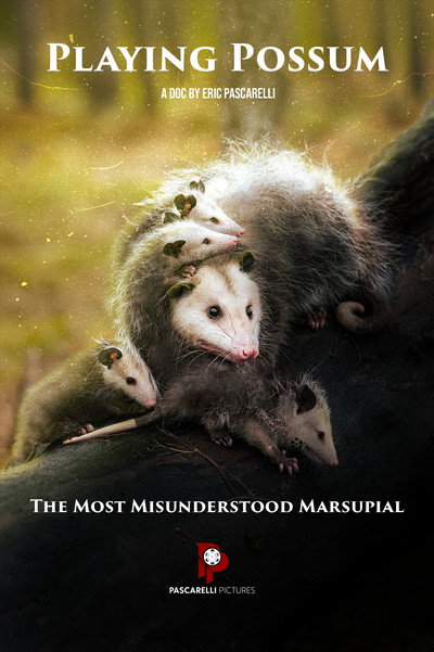 Póster de Playing Possum