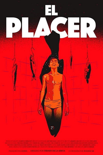 Póster de Pleasure