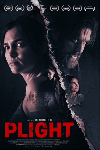 Póster de Plight