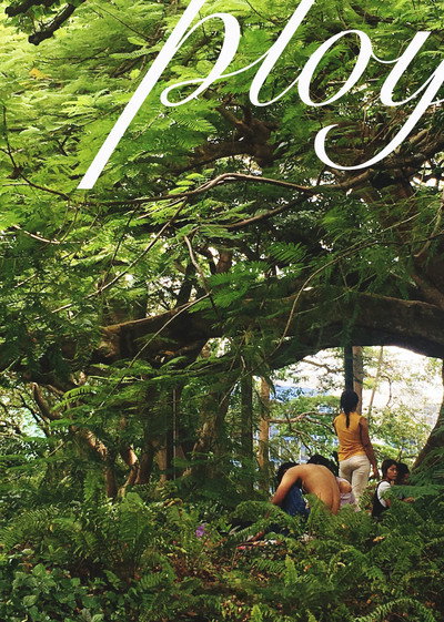 Póster de Ploy
