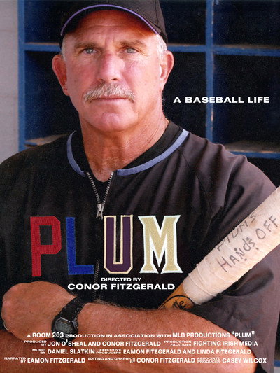 Póster de PLUM: A Baseball Life