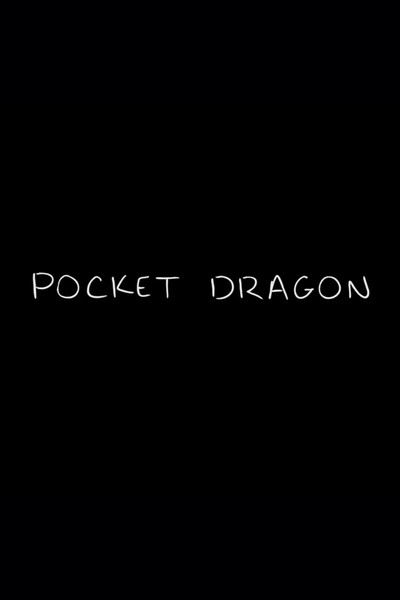 Póster de Pocket Dragon
