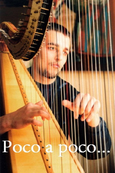 Póster de Poco a poco...