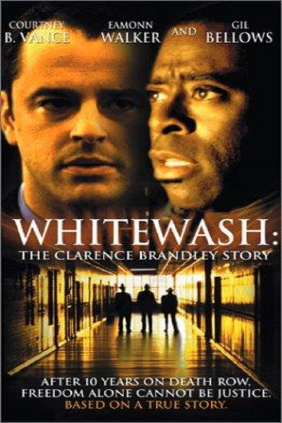 Póster de Poder blanco