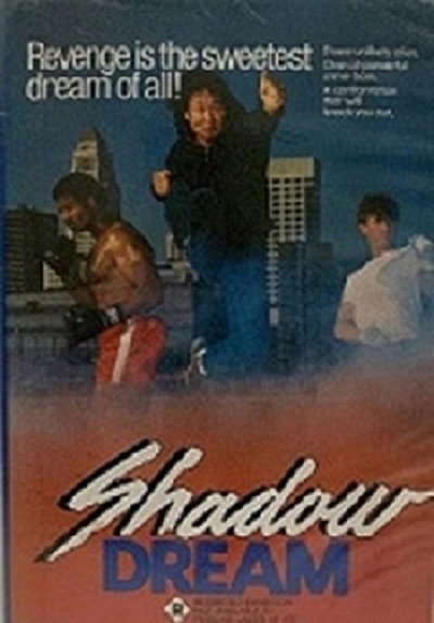 Póster de Poder en la sombra