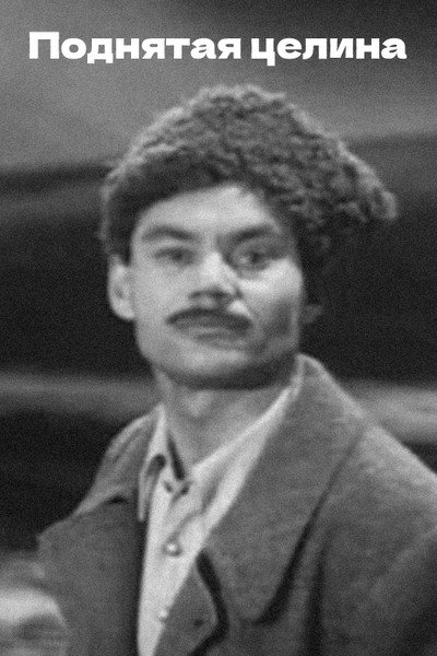 Póster de Podnyataya tselina