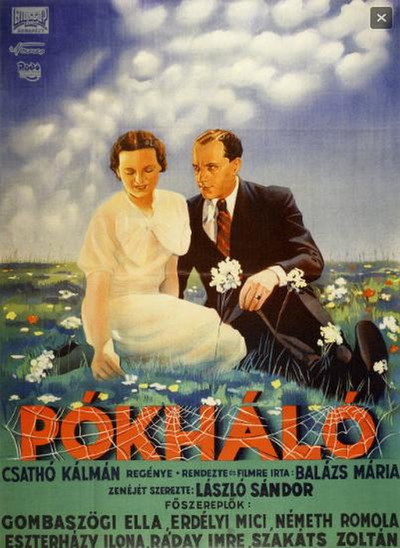 Póster de Pókháló