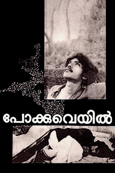Póster de Pokkuveyil