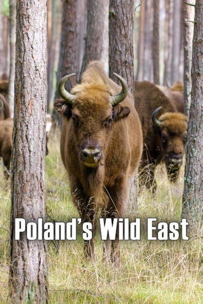 Póster de Poland's Wild East