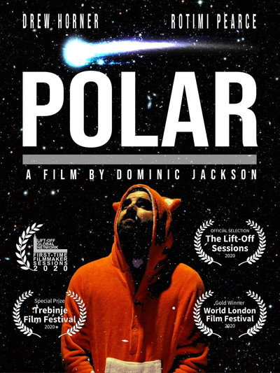 Póster de Polar