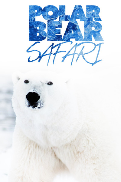 Póster de Polar Bear Safari