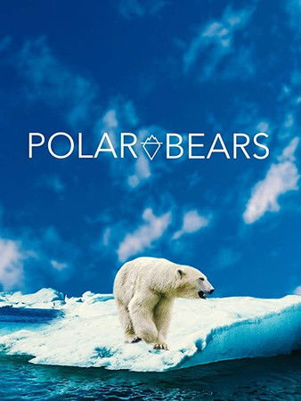 Póster de Polar Bears