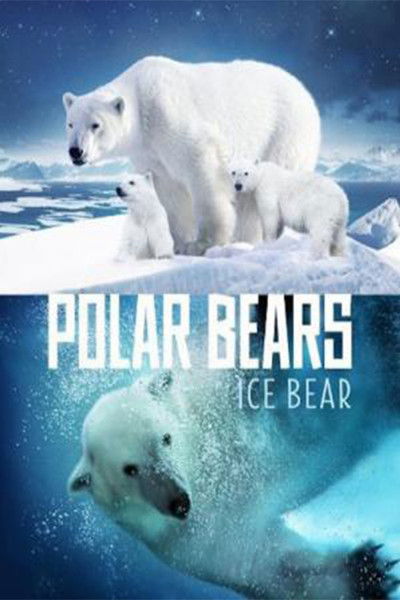 Póster de Polar Bears: Ice Bear