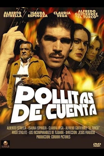 Póster de Pollitas de cuenta